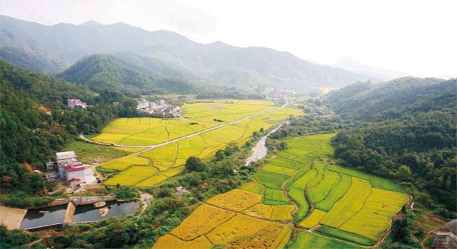 商城县2014年农业综合开发土地治理项目